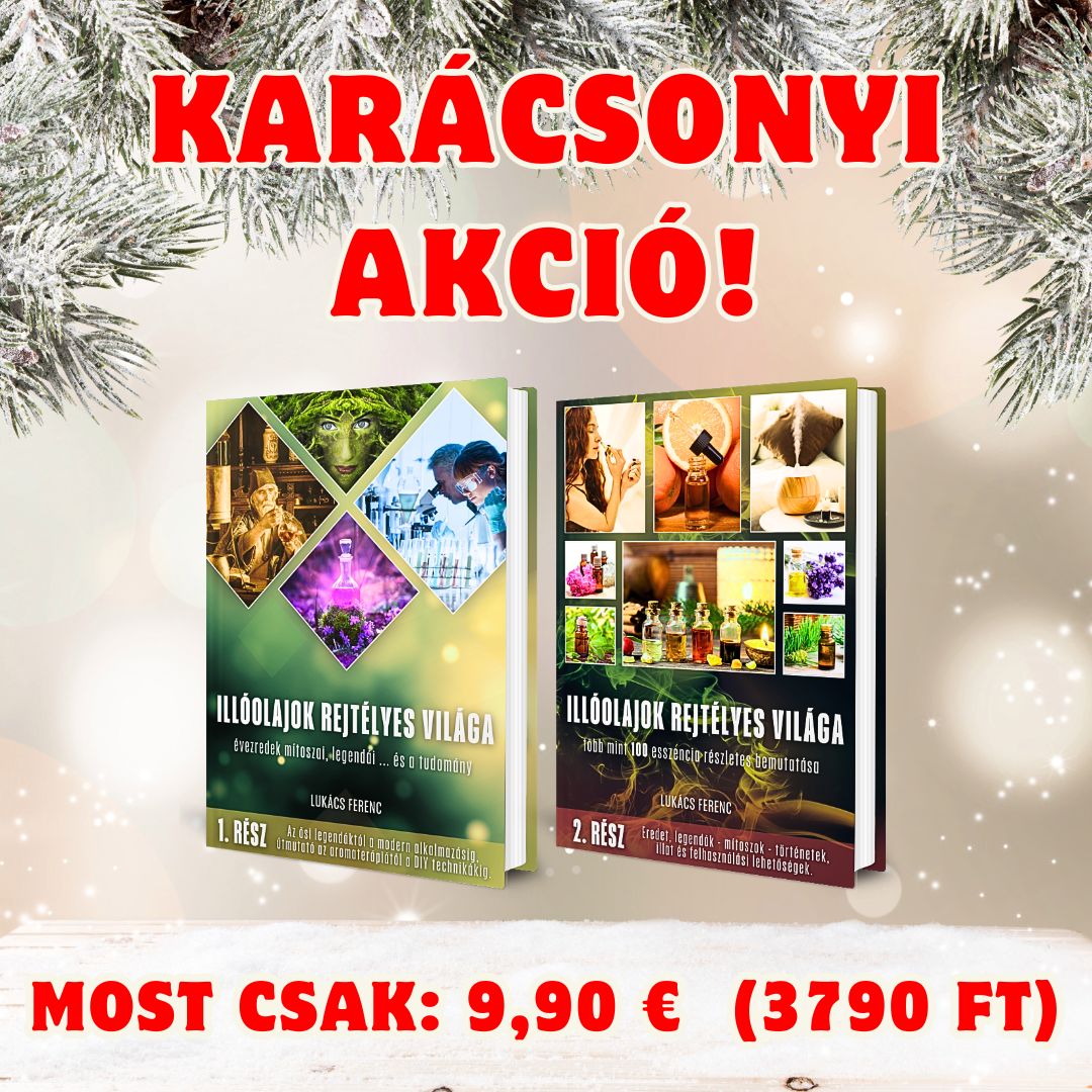 KARACSONYI REKLAMOK FT_EUR